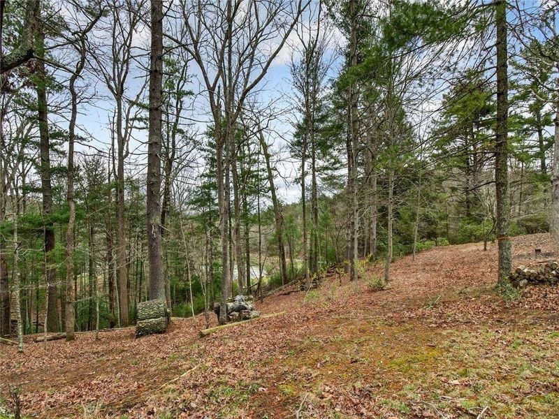 Natural landscape and outdoor views near in Ellijay (Image 61). Natural landscape and outdoor views near in Ellijay (Image 61).
