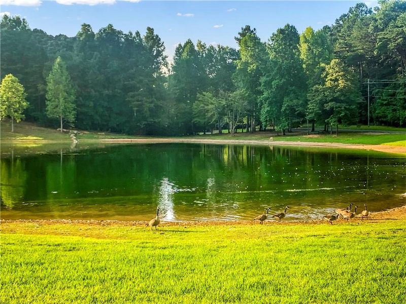 Natural landscape and outdoor views near  in Ranger (Image 63).
