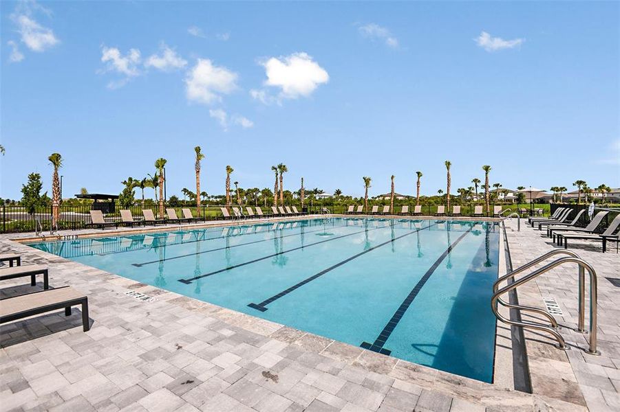 Community amenities in Cassia at Skye Ranch, Sarasota (Image 37). Community amenities in Cassia at Skye Ranch, Sarasota (Image 37).