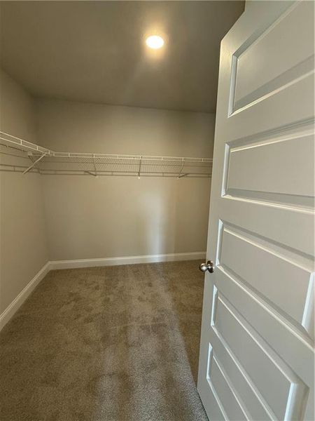 Spacious, unfurnished interior of a new home in Somerset at Riverbrook, Gainesville (Image 9).