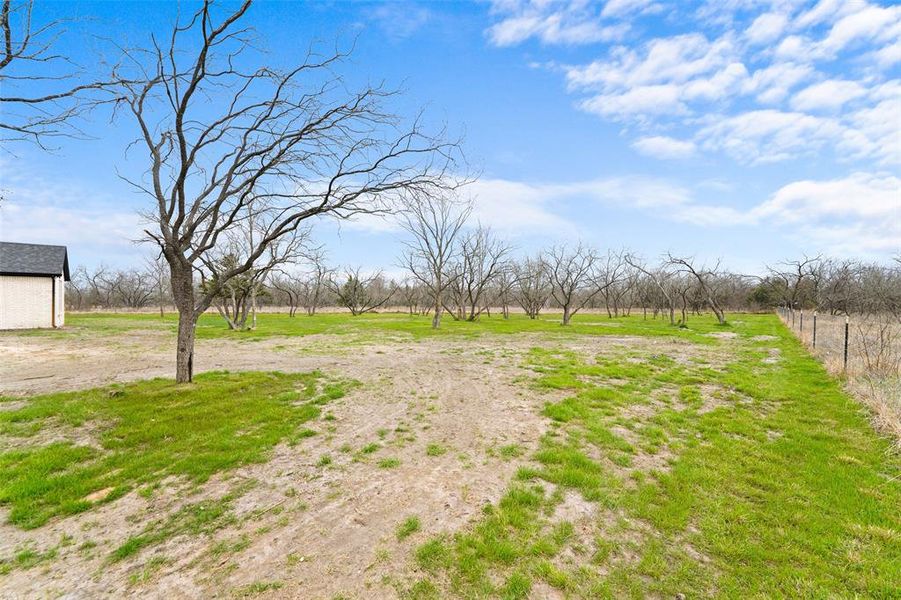 Natural landscape and outdoor views near  in Corsicana (Image 34).