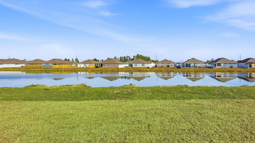 Natural landscape and outdoor views near Hodges Bayou Plantation in Panama City (Image 28).