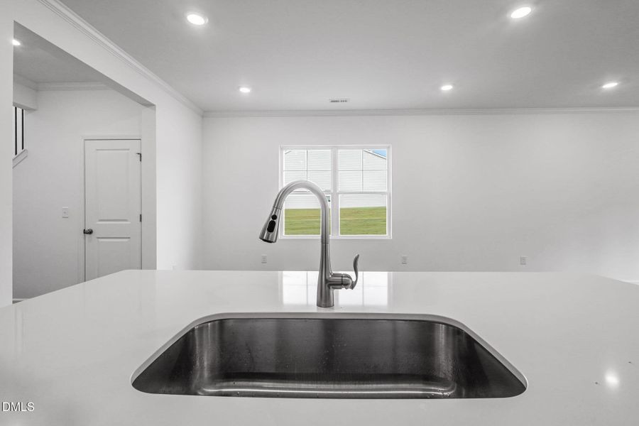 SUN_CaitlinCrossing_Pic_Davidson-23