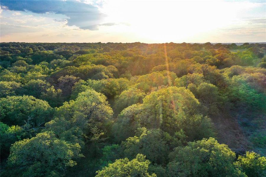 Natural landscape and outdoor views near in Perrin (Image 20). Natural landscape and outdoor views near in Perrin (Image 20).