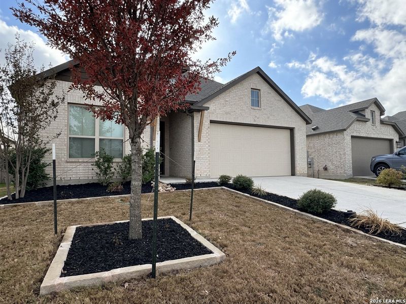 Front exterior of a new home in Alsatian Oaks, Castroville, TX, highlighting curb appeal (Image 1). Front exterior of a new home in Alsatian Oaks, Castroville, TX, highlighting curb appeal (Image 1).
