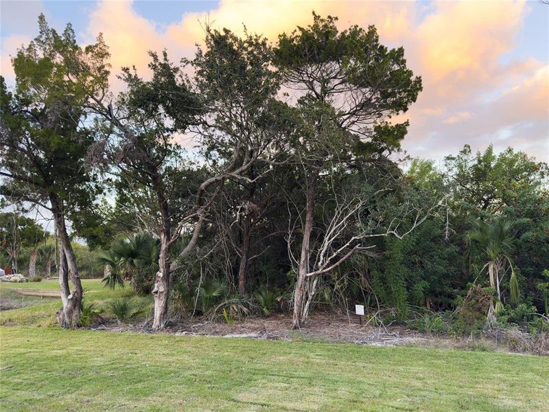 Natural landscape and outdoor views near  in Flagler Beach (Image 59).