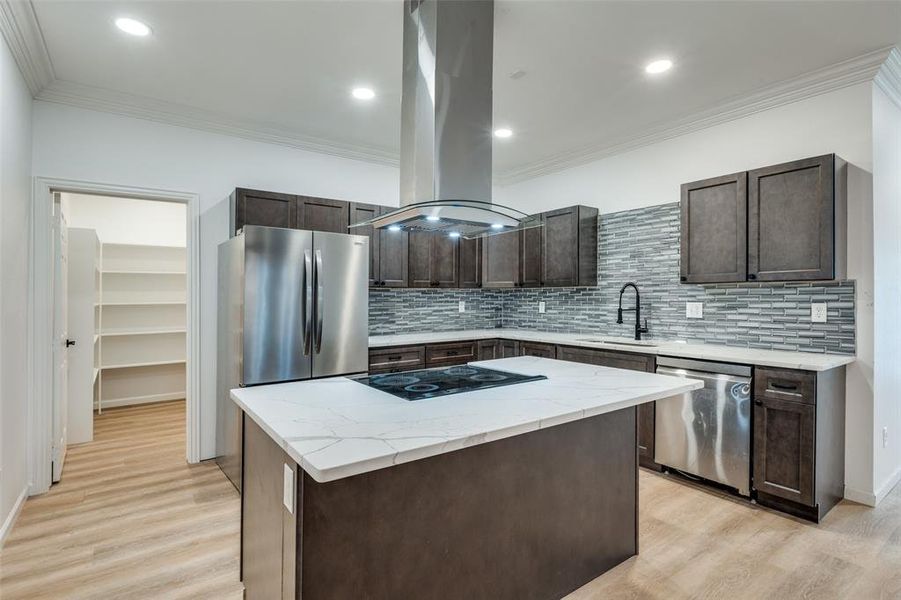 Kitchen featuring dark brown cabinets, ornamental molding, island exhaust hood, appliances with stainless steel finishes, and light wood finished floors Kitchen featuring dark brown cabinets, ornamental molding, island exhaust hood, appliances with stainless steel finishes, and light wood finished floors