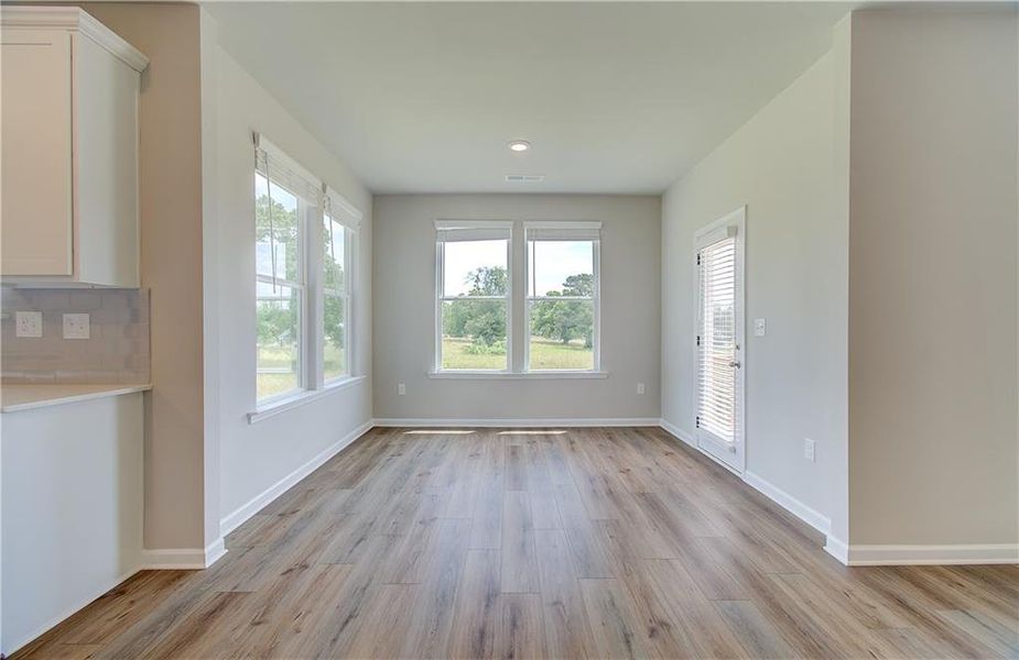 Spacious, unfurnished interior of a new home in Cooper Park, McDonough (Image 27).