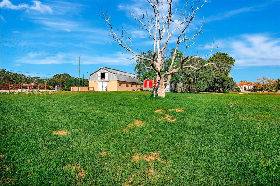 Natural landscape and outdoor views near  in Miramar (Image 18).