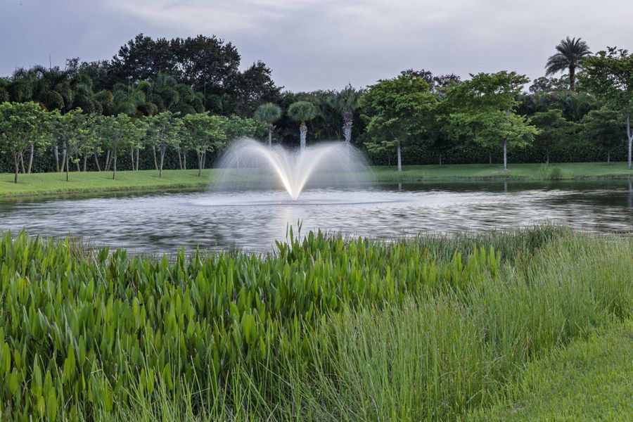 Natural landscape and outdoor views near in Wellington (Image 107). Natural landscape and outdoor views near in Wellington (Image 107).