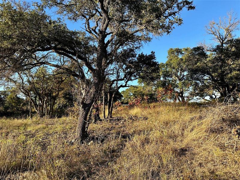 Natural landscape and outdoor views near in Zephyr (Image 24). Natural landscape and outdoor views near in Zephyr (Image 24).