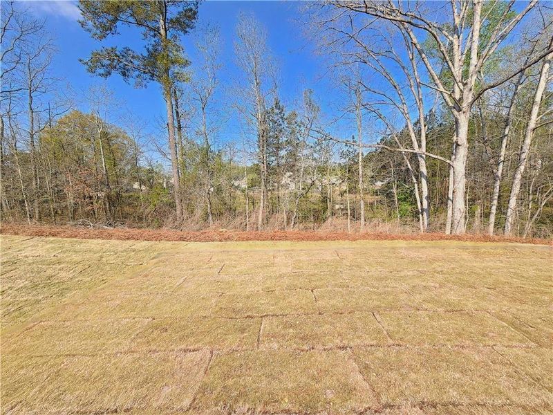 Natural landscape and outdoor views near The Estates at Casteel in Bethlehem (Image 37).