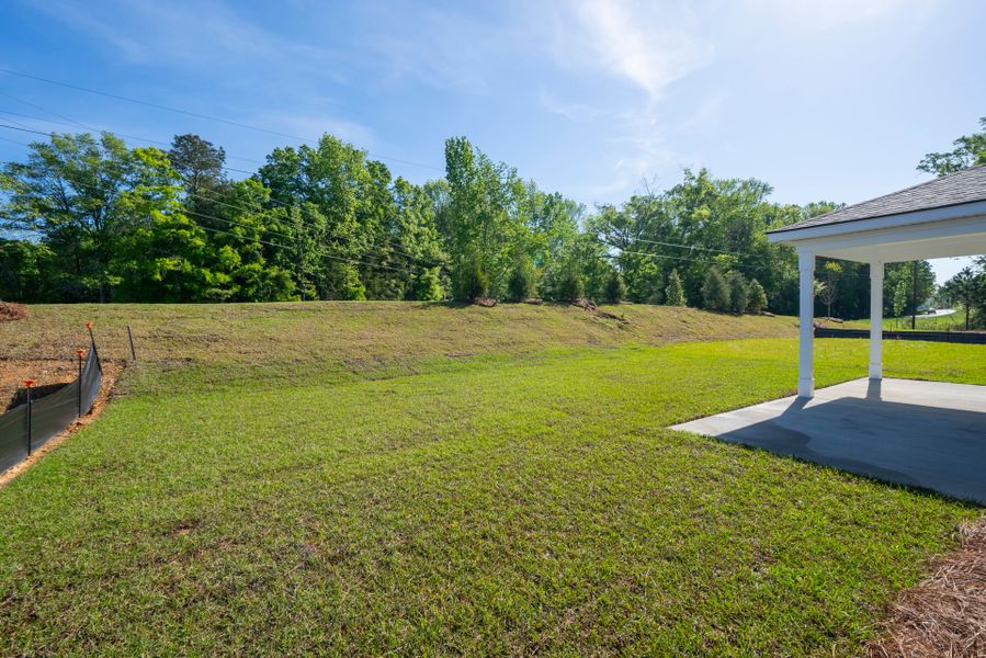 Exterior details and patio area of a home in Monroe Preserve, Chapin (Image 29). Exterior details and patio area of a home in Monroe Preserve, Chapin (Image 29).