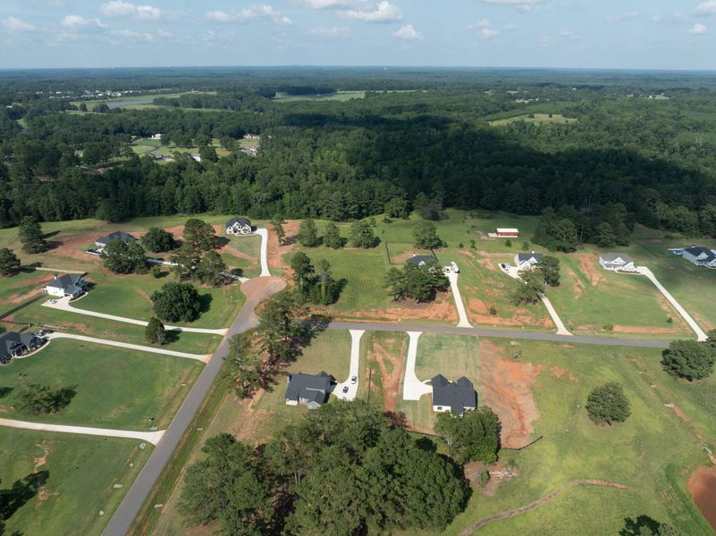Image 59 of a home in The Reserve at Reidsboro.