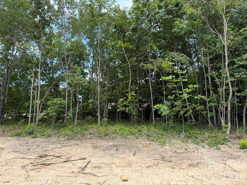 Natural landscape and outdoor views near  in Shelby (Image 14).