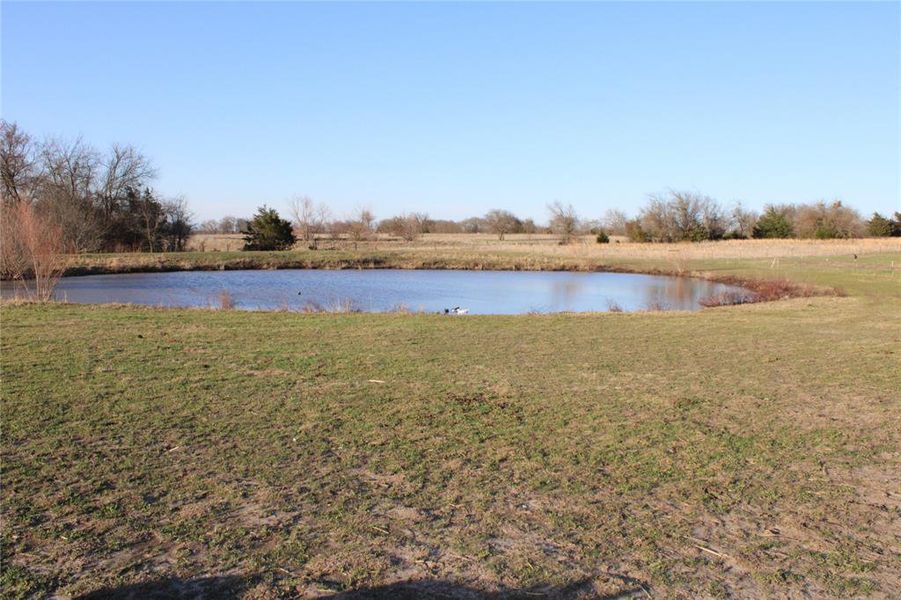 One of 3 ponds One of 3 ponds