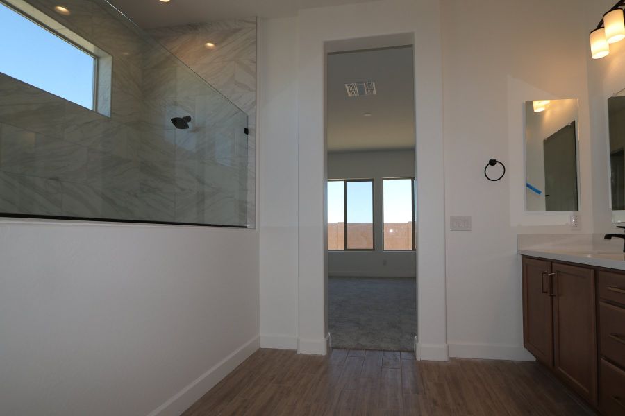 Owner's Bath