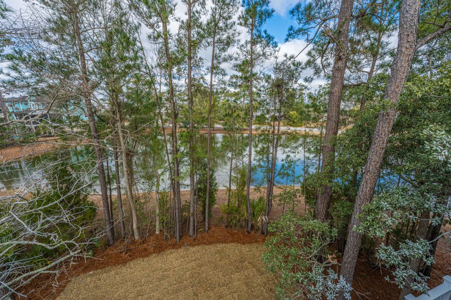 Natural landscape and outdoor views near  in Mount Pleasant (Image 52).