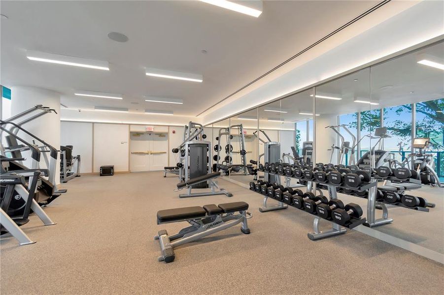 State-of-the-Art Gym overlooking Bayshore Blvd