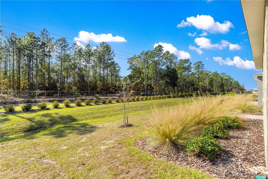 Exterior details and patio area of a home in On Top of the World Communities, Ocala (Image 31).