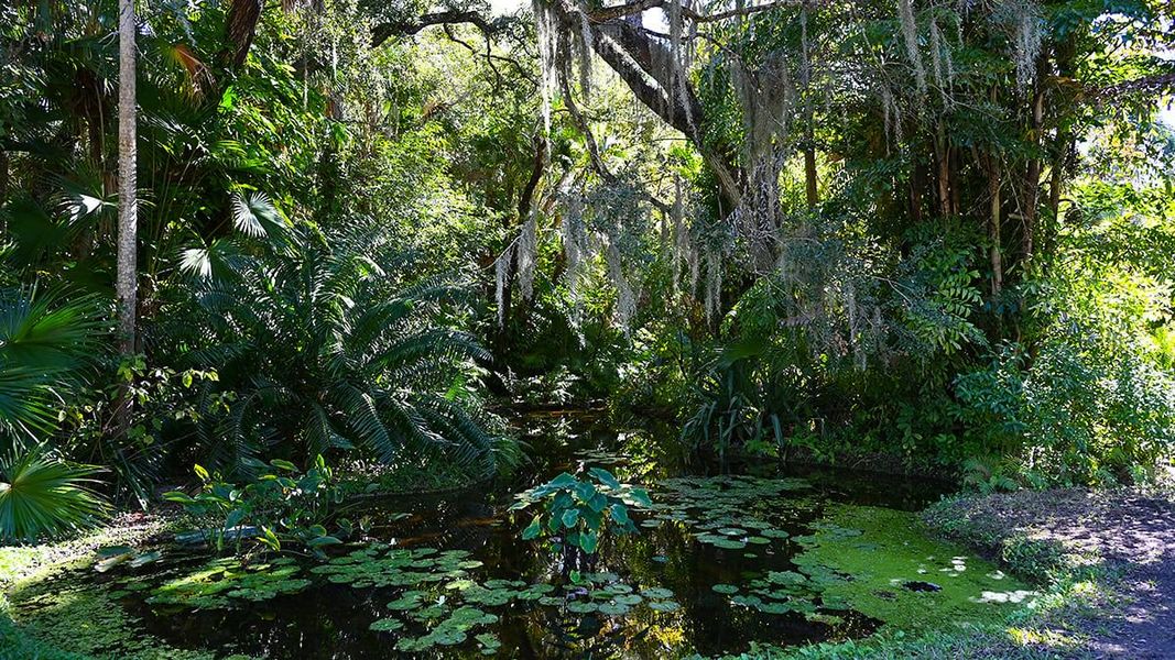 Natural landscape and outdoor views near Veranda Oaks in Port St. Lucie (Image 84).