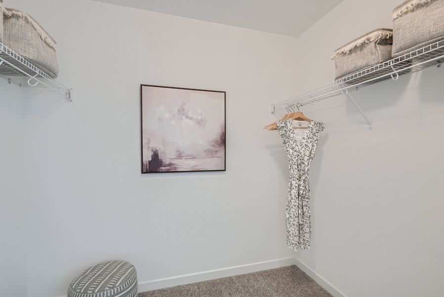 New Home in Arvada, CO New Home in Arvada, CO