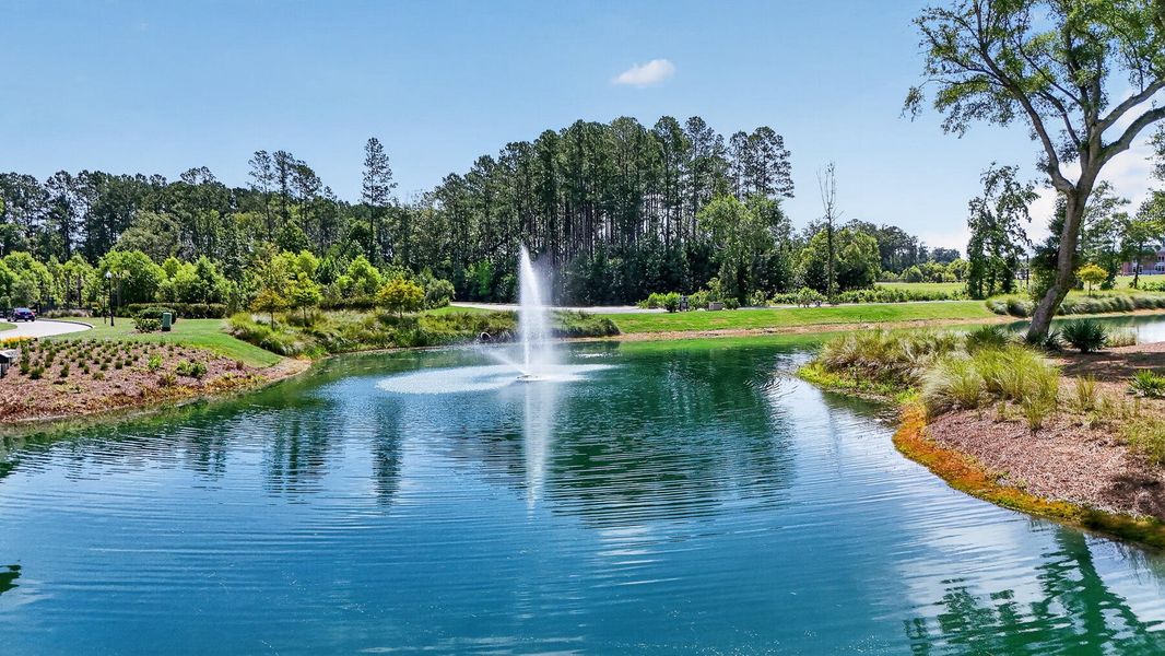 Natural landscape and outdoor views near Horizons at Summers Corner | 55+ in Summerville (Image 63).