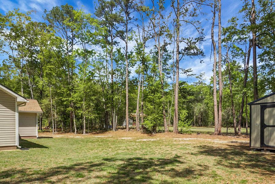 Natural landscape and outdoor views near in Walterboro (Image 37). Natural landscape and outdoor views near in Walterboro (Image 37).