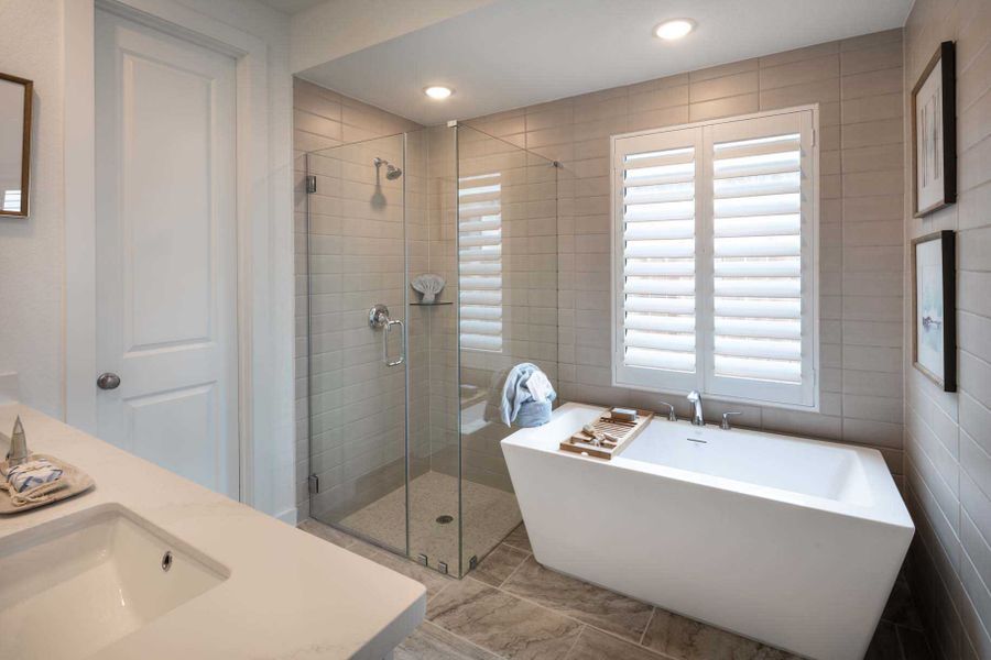 Representative Primary Bathroom - some options shown