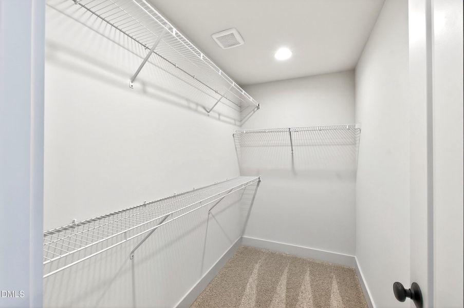 982 Helix (42) 982 Helix (42)