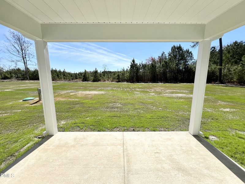 IMG_9735 2 IMG_9735 2