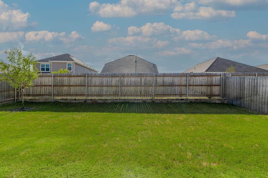 Spacious backyard Spacious backyard