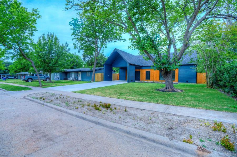 Modern-style home featuring a striking blue exterior with natural wood-tone accents