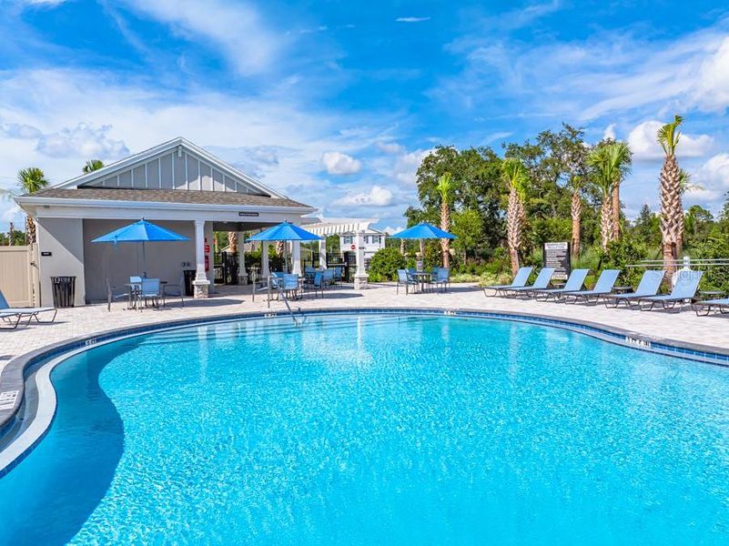 Community amenities in Palm Wind, Hudson (Image 20).