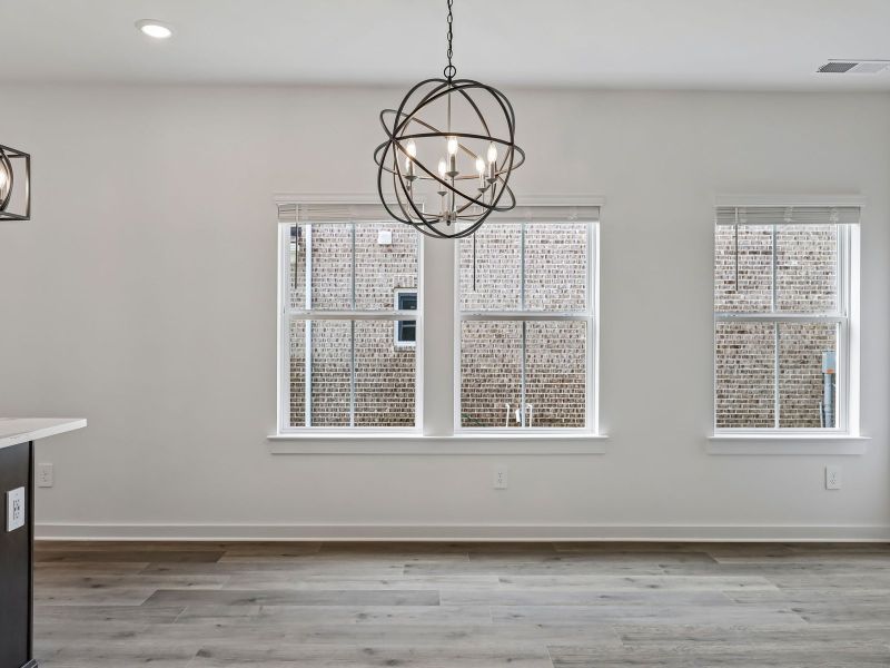 Spacious, unfurnished interior of a new home in Benders Cove - Premier Series, Mount Juliet (Image 12). Spacious, unfurnished interior of a new home in Benders Cove - Premier Series, Mount Juliet (Image 12).