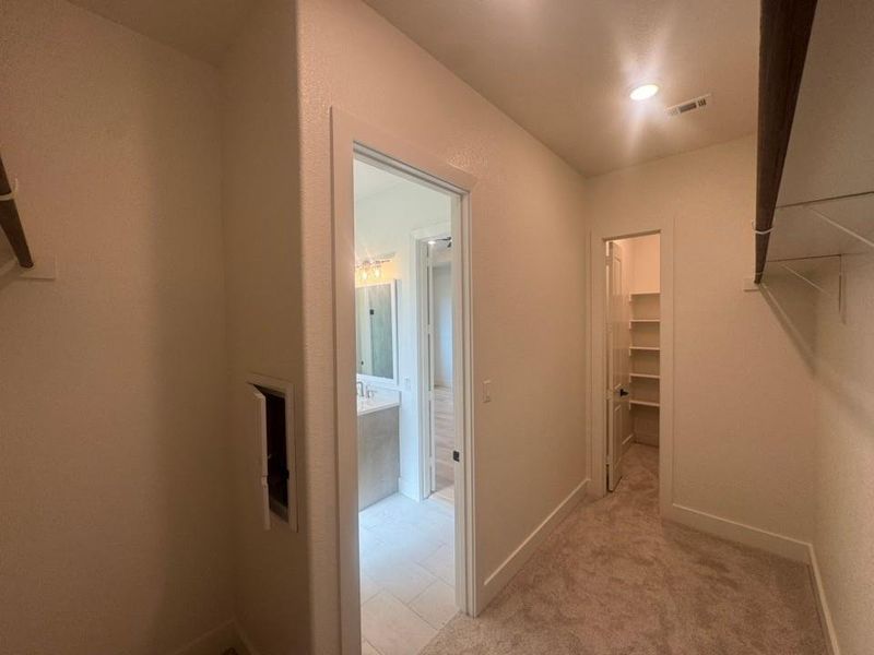 Walk-in closet featuring plush carpet flooring, built-in shelving, and a hanging rod