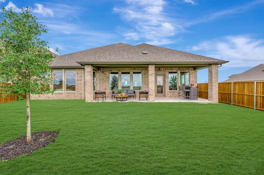 Backyard Backyard