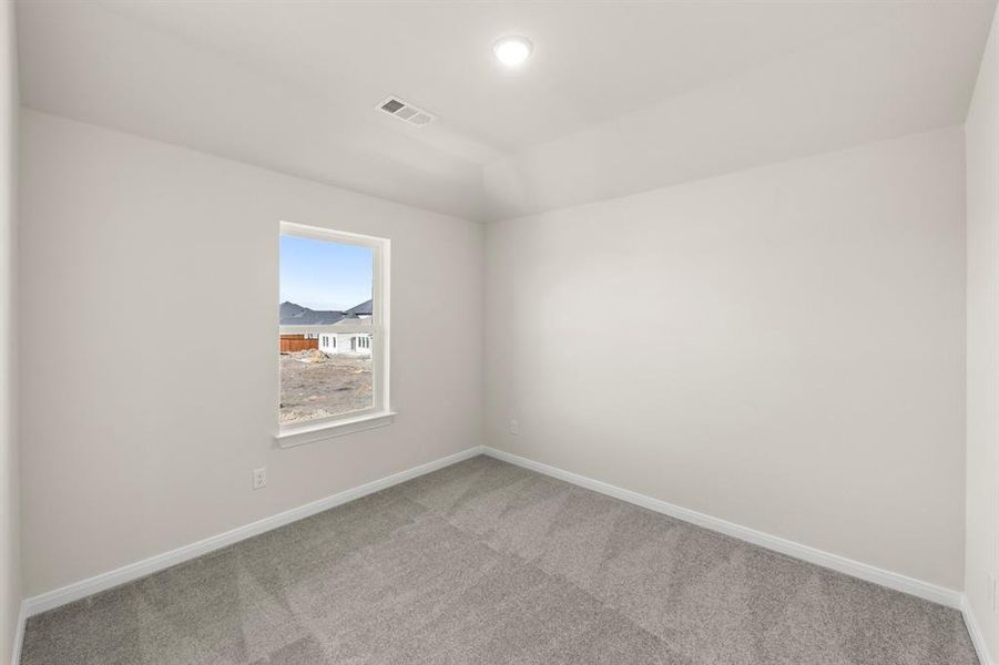 21_22. 1617 Yorkie - Bed 3