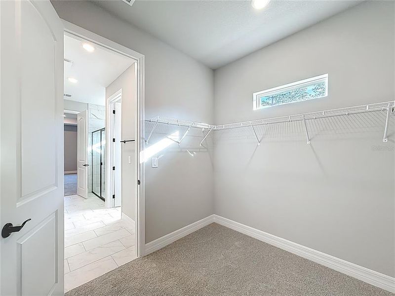 Spacious, unfurnished interior of a new home in , Ocala (Image 36). Spacious, unfurnished interior of a new home in , Ocala (Image 36).