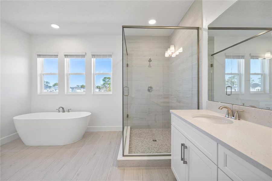 Furnished interior view inside a new home in , Winter Garden (Image 35).