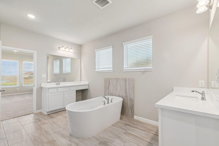 Spa-like owner's bath