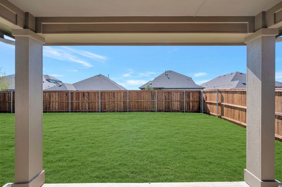 Backyard