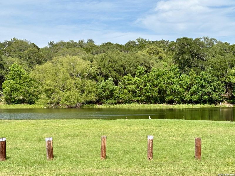 Natural landscape and outdoor views near  in Spring Branch (Image 29).