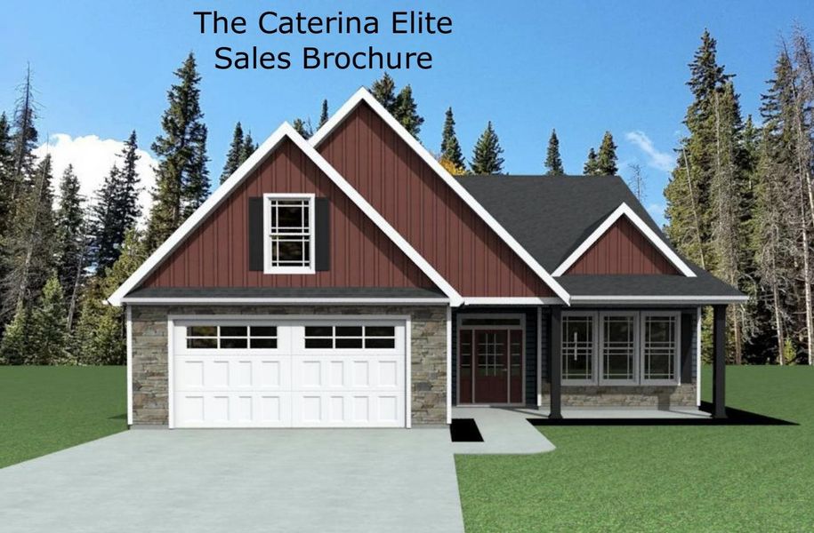 Caterina Elite Caterina Elite