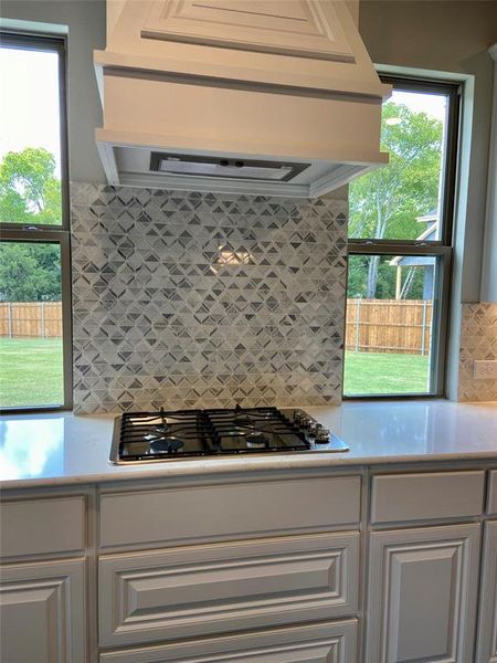 Gas cooktop & custom cabinet vents to outside Gas cooktop & custom cabinet vents to outside