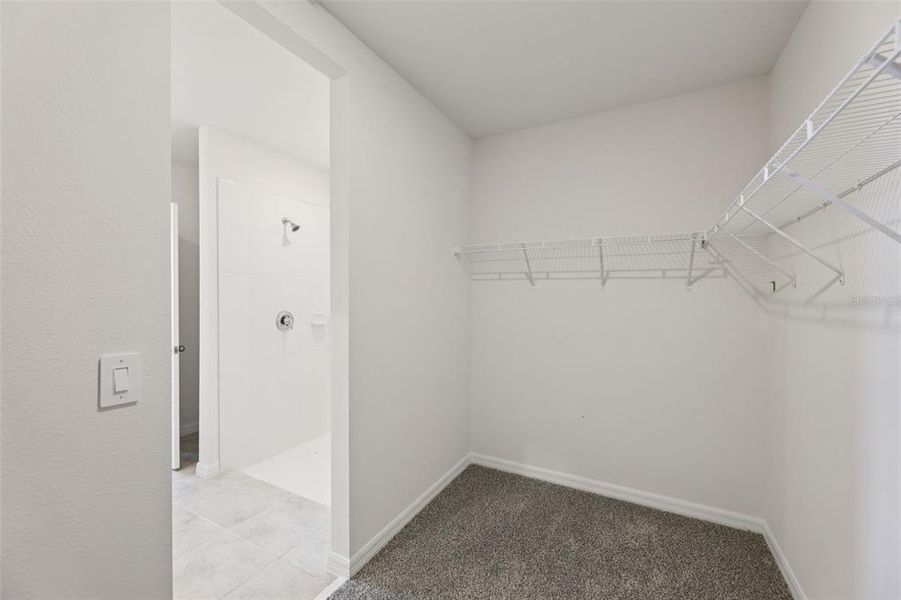 Spacious, unfurnished interior of a new home in Crosswinds - Signature Series, Haines City (Image 25).