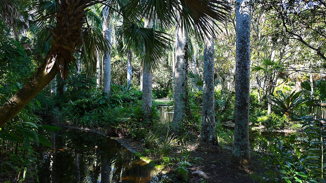 Natural landscape and outdoor views near Veranda Oaks in Port St. Lucie (Image 71).