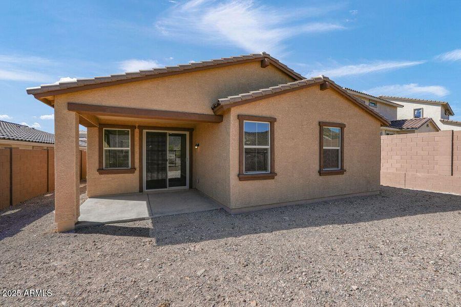 hj-az-phoenix-mystic-discovery-lily-lot-