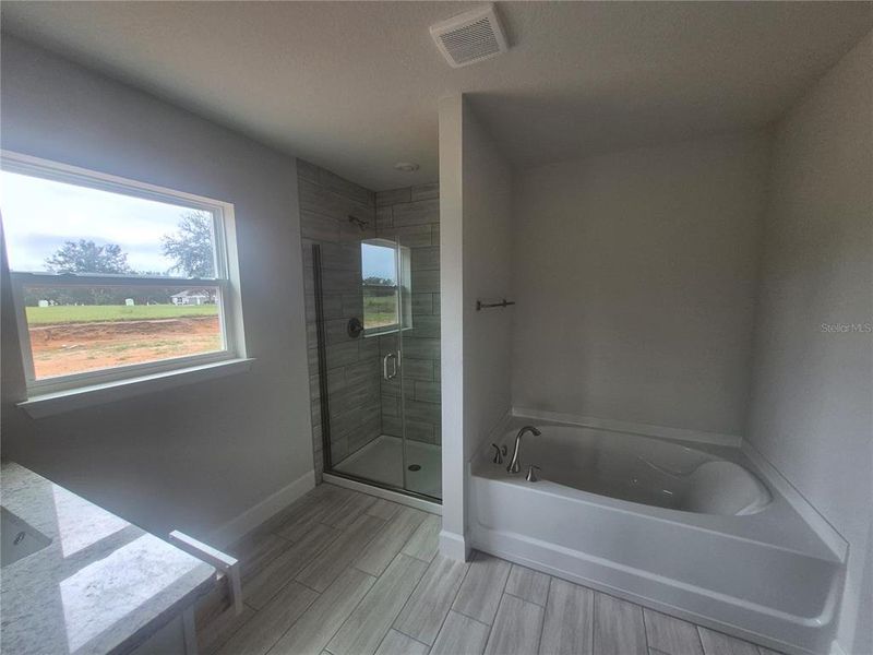 Furnished interior view inside a new home in Hill Country Estates, Dade City (Image 15). Furnished interior view inside a new home in Hill Country Estates, Dade City (Image 15).