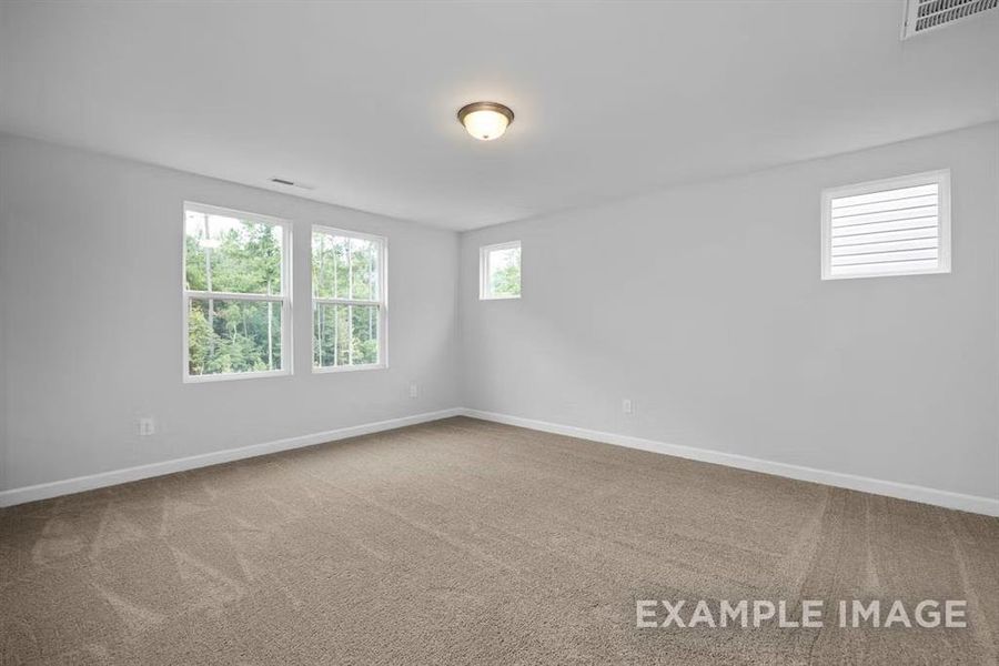 Unfurnished room featuring carpet floors